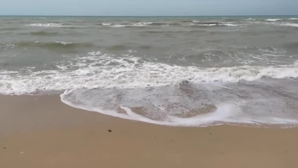 Slow Motion Beach Sea Kuwejcie — Wideo stockowe