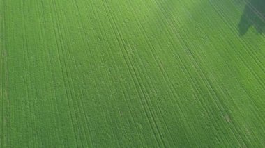 İngiltere 'nin St. Albans kentindeki İngiliz Manzarası ve Kırsal Bölgesi Güzel Hava Görüntüsü