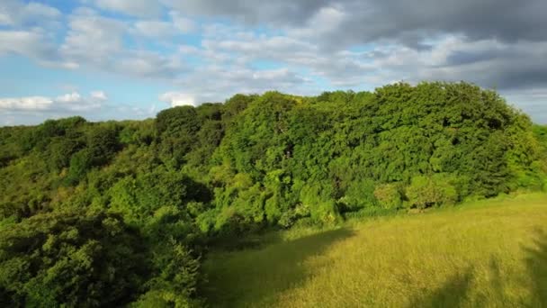 Sharpenhoe Clappers England Juni 2023 Luftaufnahmen Einer Wunderschönen Landschaft Zeitraffer — Stockvideo