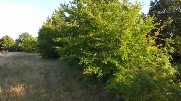 High Angle Footage British Countryside Landscape Hills Filmagem Foi Capturada — Vídeo de Stock