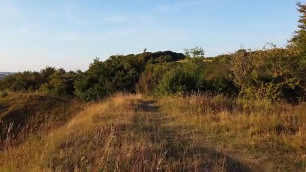 英国乡村风景与小山的高角度图像 影片于2023年8月6日在英国卢顿市附近的Sharpenhoe Clappers用Drone S相机拍摄 — 图库视频影像