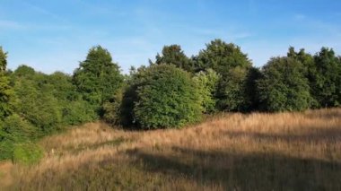 İngiliz Kırsal Bölgesinin Yüksek Açılı Görüntüleri Sharpenhoe Alkışlayıcıları Bedfordshire İngiltere, Tepelerin Turistik Noktası ve İngiliz Çiftlikleri