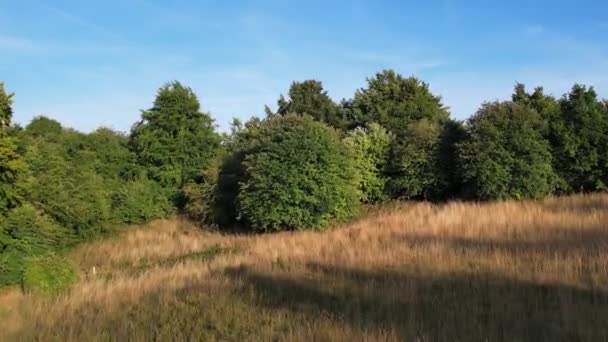 Hög Vinkel Film Brittiska Landsbygden Landskap Vid Sharpenhoe Clappers Bedfordshire — Stockvideo