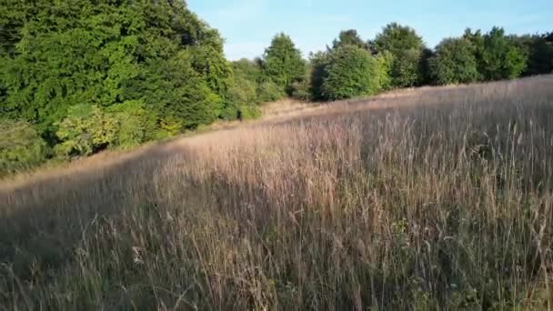 Filmagem Alto Ângulo Paisagem Campo Britânico Sharpenhoe Clappers Bedfordshire Inglaterra — Vídeo de Stock