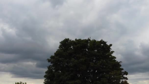 Zeitraffer Von Hochwinkelaufnahmen Von Sich Schnell Bewegenden Regen Und Gewitterwolken — Stockvideo