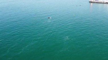 Bournemouth UK Beach ve Ocean 'daki Slow Motion High Angle Moving Sports Boat. Güzel Sıcak Yaz Günü. İnsanlar yaz tatilinin tadını çıkarıyor..