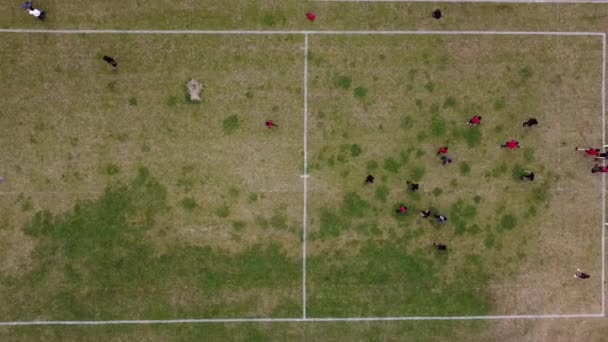Nagranie Lotu Ptaka Mecz Piłki Nożnej Plac Zabaw Drużyną Mecz — Wideo stockowe