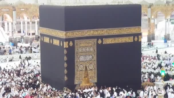 Footage Thousand People Paying Umrah Prayer Bait Ullah Kaaba Makkah — Stock Video