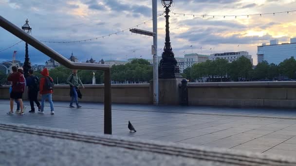 Toeristen Wandelen Langs Het Pad Van London Eye Westminster Central — Stockvideo