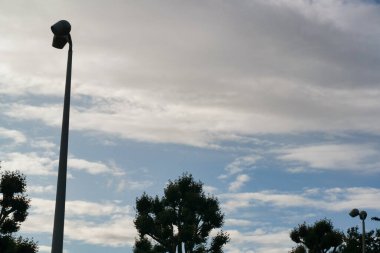 London Eye, Westminster, Central London, İngiltere 'deki Jubilee Garden Park' ın düşük açılı görüntüsü. Görüntü 2 Ağustos 2023 'te çekildi.