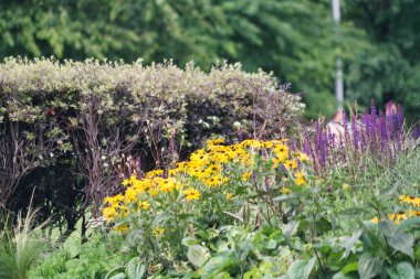 London Eye, Westminster, Central London, İngiltere 'deki Jubilee Garden Park' ın düşük açılı görüntüsü. Görüntü 2 Ağustos 2023 'te çekildi.