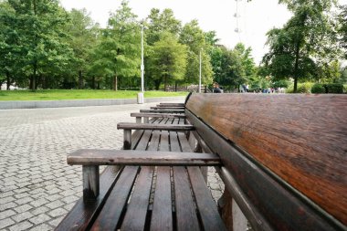 London Eye, Westminster, Central London, İngiltere 'deki Jubilee Garden Park' ın düşük açılı görüntüsü. Görüntü 2 Ağustos 2023 'te çekildi.