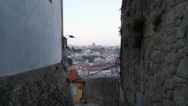 Hochwinkelblick Auf Die Historische Stadt Porto Von Portugal Von Der — Stockvideo
