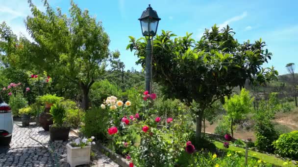 Όμορφα Πλάνα Από Τον Κήπο Του Σύγχρονου Σπιτιού Και Γκαζόν — Αρχείο Βίντεο