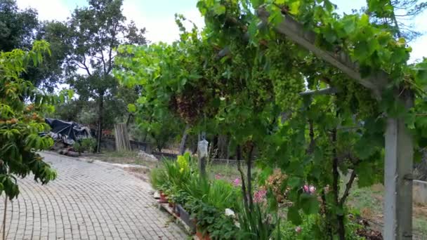 Krásné Záběry Moderní Domácí Zahrady Trávníku Porto Krajině Portugalska Záběry — Stock video