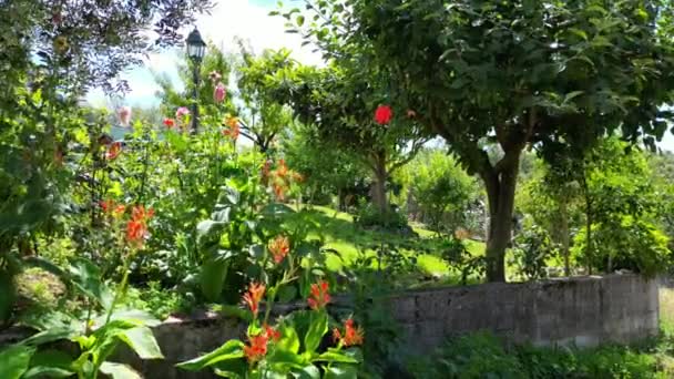 Portekiz Porto Kırsalındaki Modern Bahçesi Çimlerinin Güzel Görüntüsü Kamera Temmuz — Stok video