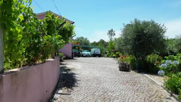 葡萄牙波尔图郊区的现代家庭花园和草坪的美丽景象 镜头是在2023年7月10日用无人机拍摄的 — 图库视频影像