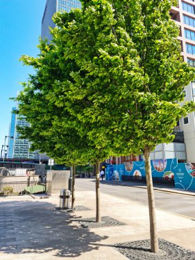İngiltere 'nin orta Londra şehrindeki Canary Wharf binalarının düşük açılı görüntüsü. Görüntüler 8 Haziran 2023 'te berrak güneşli bir günde çekildi. Yüksek Çözünürlük 64 Mega Piksel Resmi