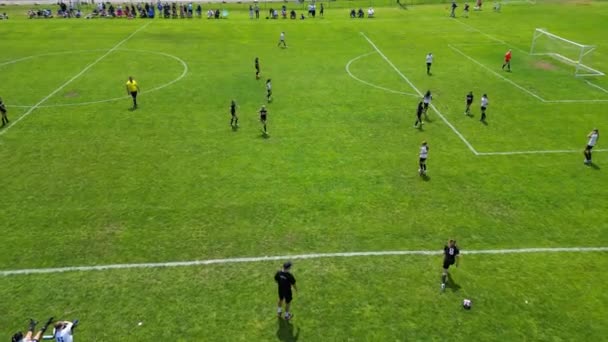 Girls Football Match Porto City Portugal — Stock Video