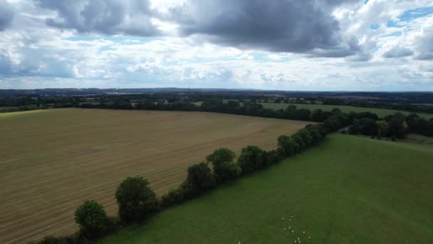 High Angle View British Sheep Farm Gorgeous Landscape Countryside Upper — Stockvideo