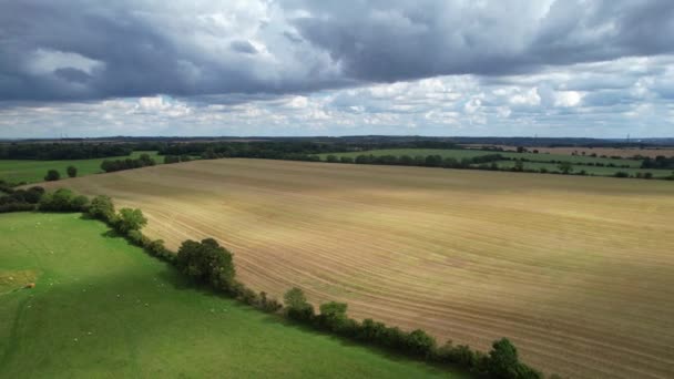 High Angle View British Sheep Farm Gorgeous Landscape Countryside Upper — Stock Video