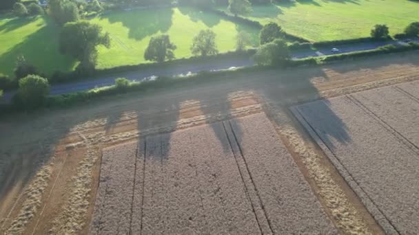 Vysokoúhlé Záběry Britských Zemědělských Farem Venkově Blízkosti Luton City England — Stock video
