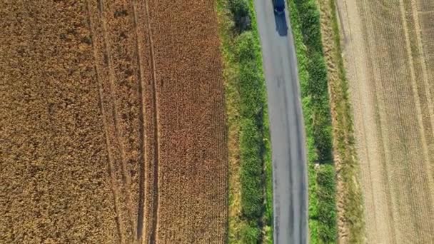 High Angle Footage British Agricultural Farms Countryside Landscape Közeli Luton — Stock videók