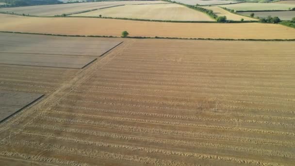 英国英格兰卢顿市近郊风景的英国农业农场的高角度图像 镜头是在2023年8月19日用无人机拍摄的 — 图库视频影像