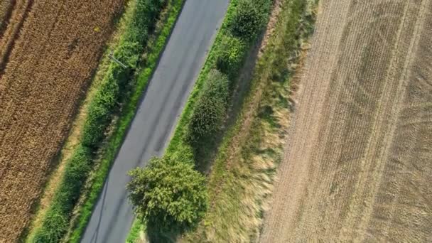 Filmagem High Angle Fazendas Agrícolas Britânicas Campo Paisagem Perto Luton — Vídeo de Stock