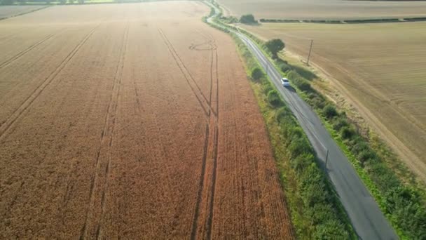 英国英格兰卢顿市近郊风景的英国农业农场的高角度图像 镜头是在2023年8月19日用无人机拍摄的 — 图库视频影像