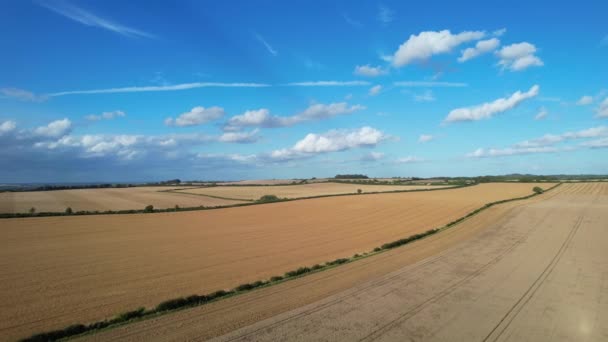 High Angle Footage British Agricultural Farms Countryside Landscape Proximité Luton — Video