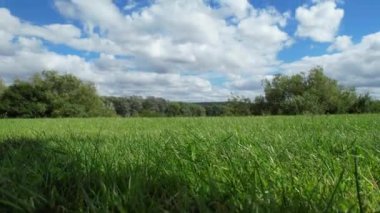 İngiltere 'nin Milton Keynes şehrinde yer alan Caldecotte Gölü' ndeki yeşil çayır. Hava sahası 21 Ağustos 2023 'te ele geçirildi.