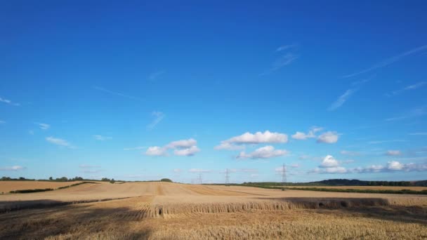 High Angle Footage Von Britischen Landwirtschaftlichen Farmen Auf Dem Land — Stockvideo