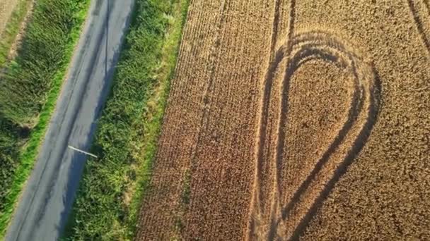 Ngiltere Nin Luton Şehrinin Yakınlarındaki Kırsal Arazide Ngiliz Tarım Çiftliklerinin — Stok video