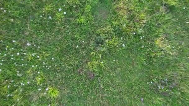영국의 풍경에서 농장의 촬영은 2023년 19일 드론의 카메라로 캡처되었습니다 — 비디오