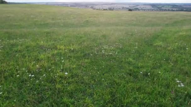 Wysokie Ujęcia Kątowe Brytyjskich Gospodarstw Rolnych Krajobrazie Wsi Pobliżu Luton — Wideo stockowe