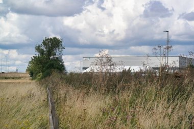 İngiltere 'nin kırsalındaki Güzel Çiçek ve Bitki' nin muhteşem yakın görüntüsü