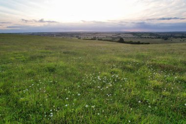 İngiltere 'nin Luton şehrinin yakınlarındaki kırsal arazide İngiliz Tarım Çiftliklerinin Yüksek Açı Görüntüsü İngiltere Büyük Britanya. Görüntüler İHA 'nın Kamerasıyla 19 Ağustos 2023' te çekildi.