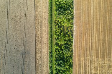 İngiltere 'nin Luton şehrinin yakınlarındaki kırsal arazide İngiliz Tarım Çiftliklerinin Yüksek Açı Görüntüsü İngiltere Büyük Britanya. Görüntüler İHA 'nın Kamerasıyla 19 Ağustos 2023' te çekildi.