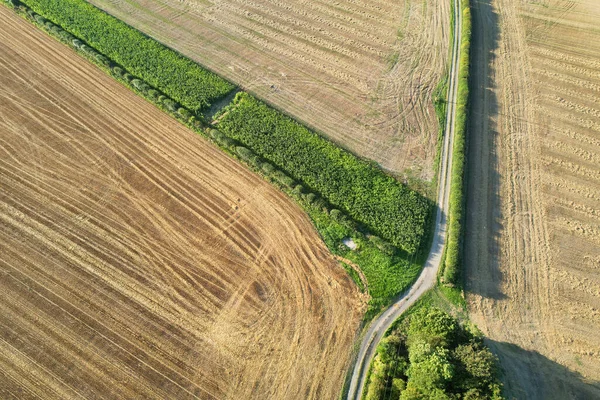 İngiltere 'nin Luton şehrinin yakınlarındaki kırsal arazide İngiliz Tarım Çiftliklerinin Yüksek Açı Görüntüsü İngiltere Büyük Britanya. Görüntüler İHA 'nın Kamerasıyla 19 Ağustos 2023' te çekildi.