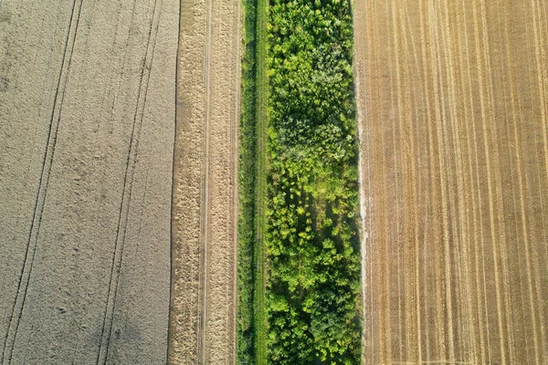 High Angle Footage Von Britischen Landwirtschaftlichen Farmen Auf Dem Land — Stockfoto