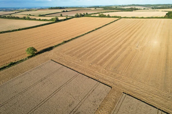 Filmagem High Angle Fazendas Agrícolas Britânicas Campo Paisagem Perto Luton — Fotografia de Stock