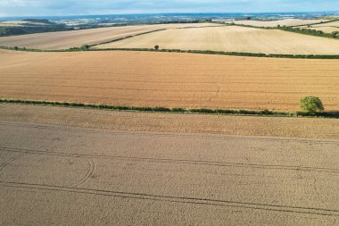 İngiliz Tarım Çiftliklerinin Yüksek Açı Görüntüsü Sharpenhoe Clappers 'ın Kırsal Arazisi, Luton Şehri İngiltere Büyük Britanya. Görüntüler 19 Ağustos 2023 'te çekildi.