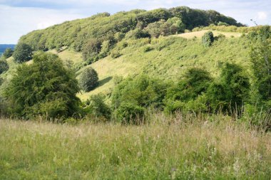 İngiltere 'nin en güzel İngiliz kır manzarası Sharpenhoe Alkışçılar Vadisi Luton, İngiltere' de. Görüntü 24 Haziran 2023 'te çekildi.