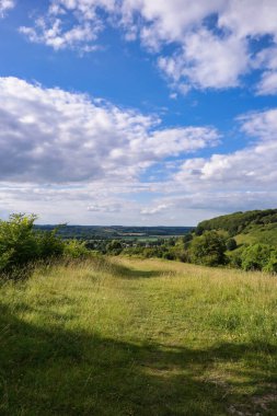 İngiltere 'nin en güzel İngiliz kır manzarası Sharpenhoe Alkışçılar Vadisi Luton, İngiltere' de. Görüntü 24 Haziran 2023 'te çekildi.