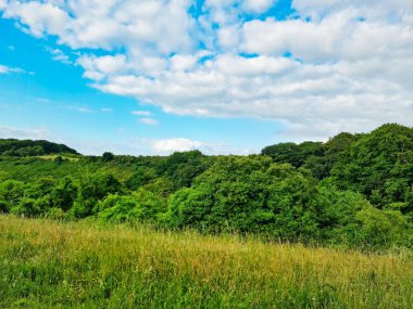 İngiltere 'nin en güzel İngiliz kır manzarası Sharpenhoe Alkışçılar Vadisi Luton, İngiltere' de. Görüntü 24 Haziran 2023 'te çekildi.