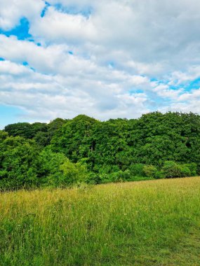 İngiltere 'nin en güzel İngiliz kır manzarası Sharpenhoe Alkışçılar Vadisi Luton, İngiltere' de. Görüntü 24 Haziran 2023 'te çekildi.