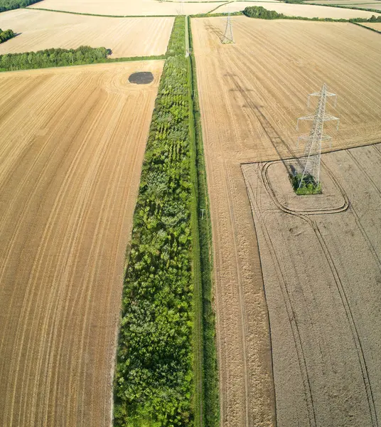 İngiltere 'nin kırsal kesimindeki İngiliz Tarım Çiftliklerinin Yüksek Açı Manzarası, İngiltere' nin Büyük Britanya 'sı. Görüntü İHA 'nın Kamerasıyla 19 Ağustos 2023' te yakalandı.