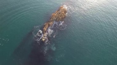 İngiltere, İngiltere 'nin Durdle Door Sahili' nin muhteşem Yüksek Açılı Sabah Manzarası ve Deniz Manzarası. Görüntüler Drone 'un kamerasıyla 9 Eylül 2023' te çekildi. (Durdle Dor)