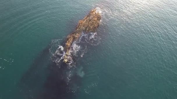 Superbe Vue Matin Angle Élevé Paysage Britannique Vue Sur Mer — Video